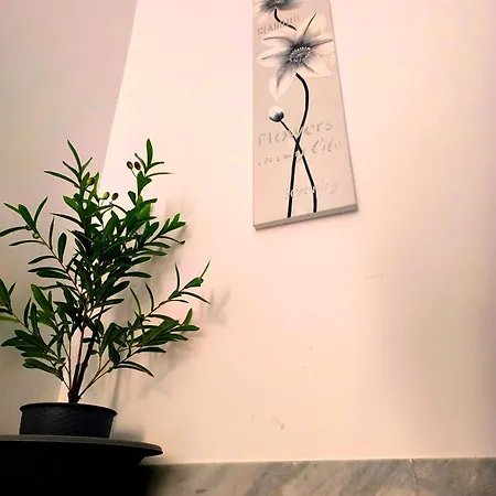 тhree Bedroom House 